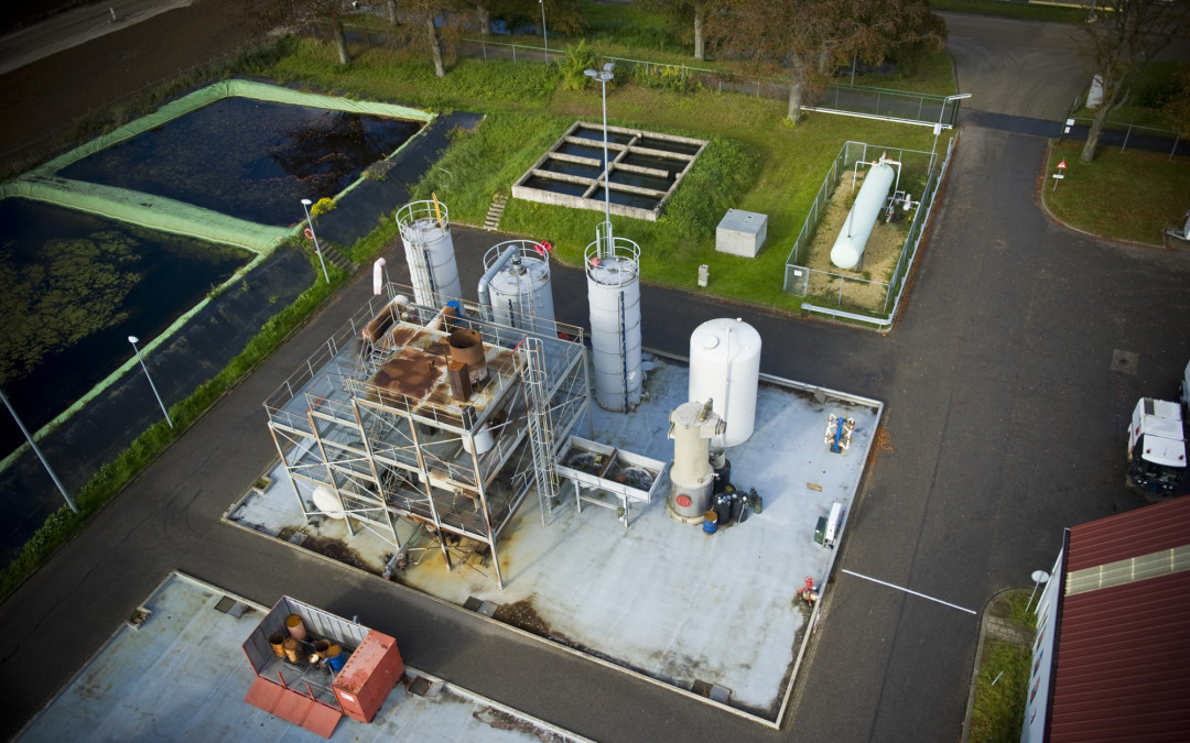 Plant industry